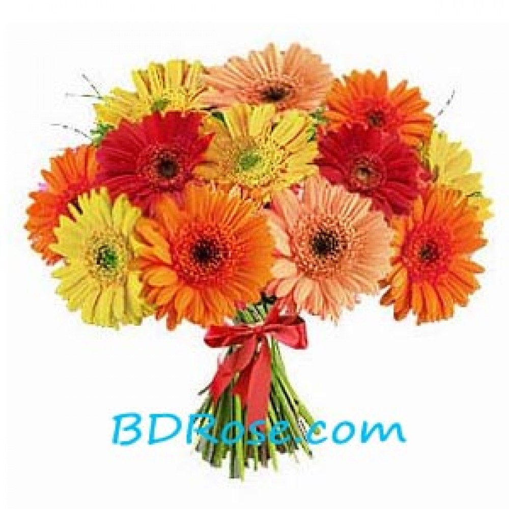 Bright Gerberas