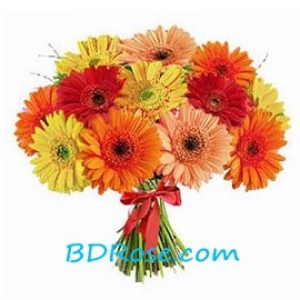 Bright Gerberas