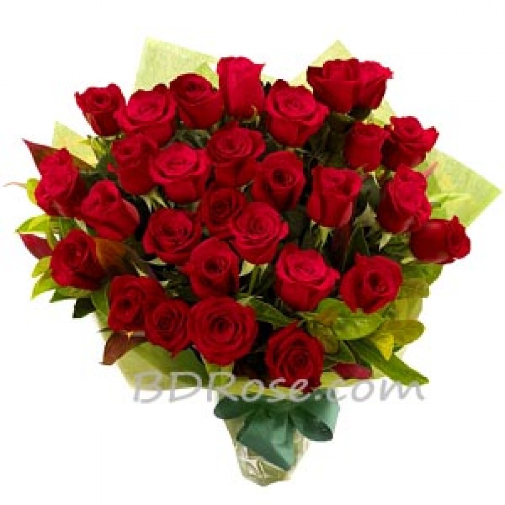 Lovely Red Roses