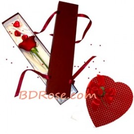 Forever Love You