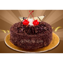 Chocolate Lady Cake(2.2 pounds)