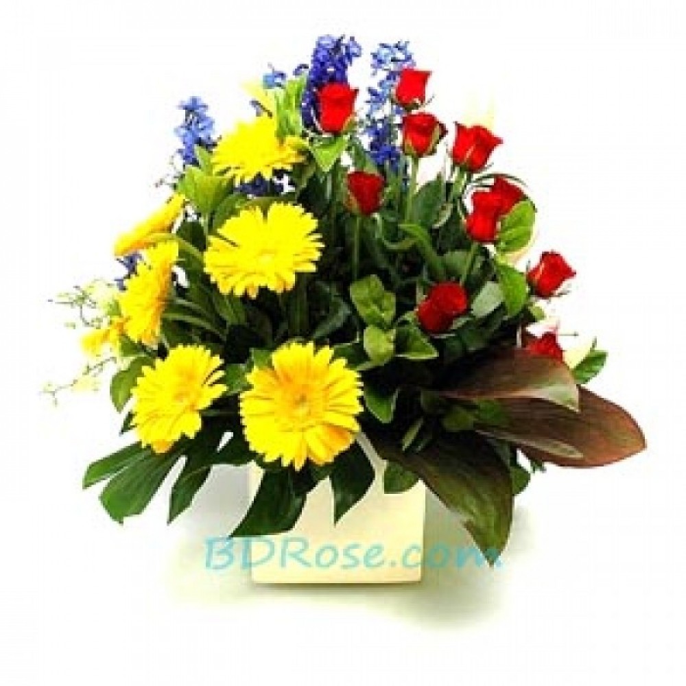 Dreaming Gerberas 