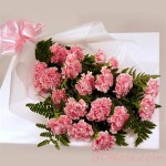 Shiny Carnations