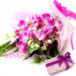 Freshness Bouquet