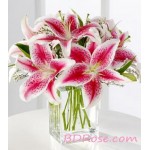 Charming Pink Lilies