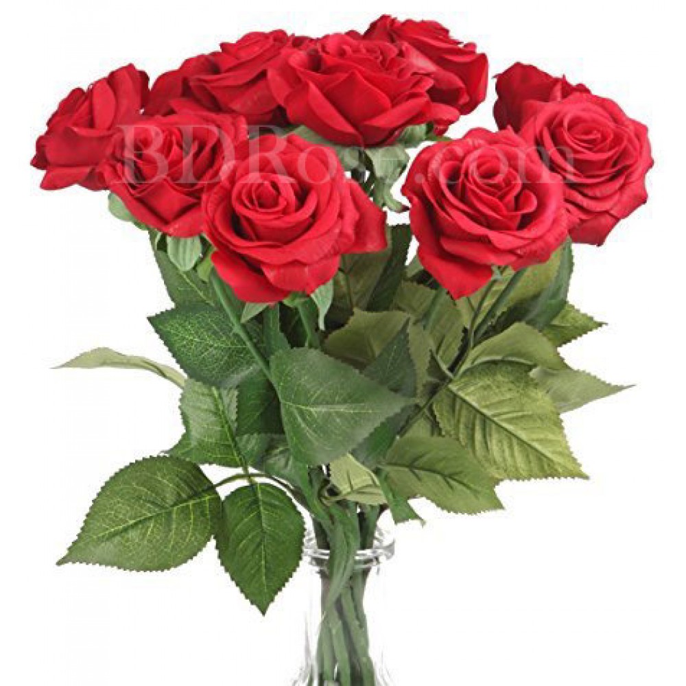 10 pcs pure red roses in bouquet