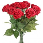 10 pcs pure red roses in bouquet