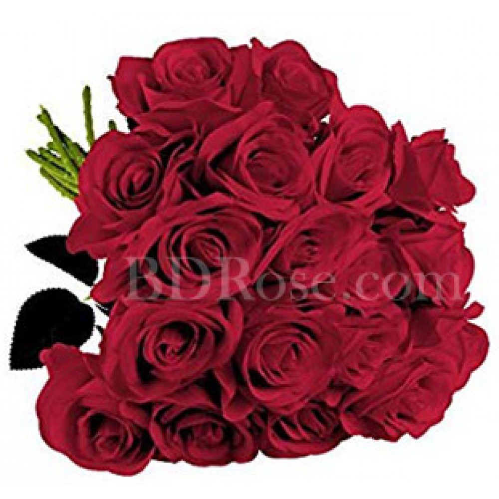 18 pcs red roses in bouquet