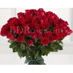 70 pcs red roses in bouquet