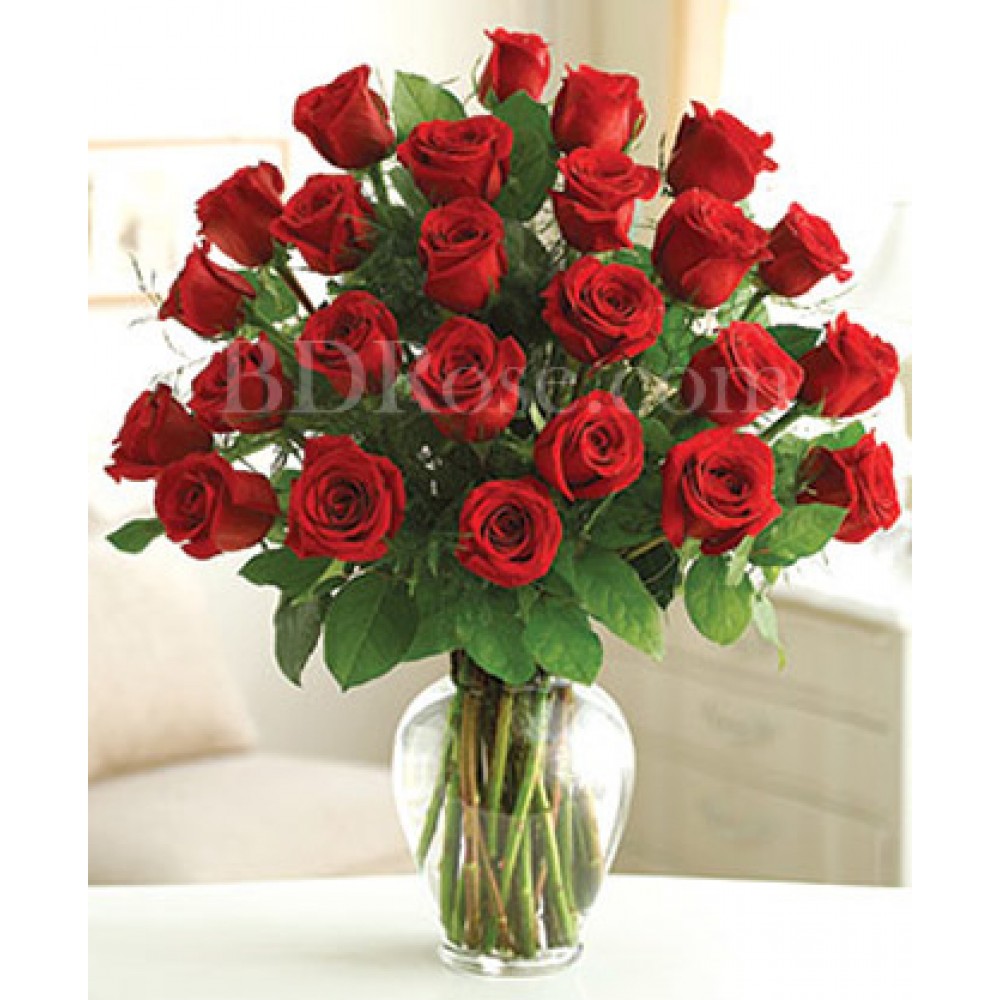 2 dozen red roses in vase