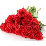 Fresh 20 pcs red roses in bouquet