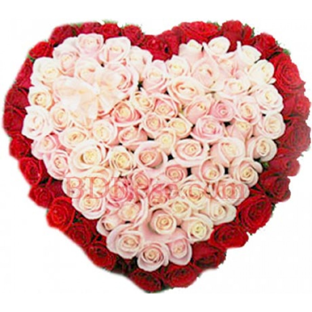 100 pcs red and white mixed heart shape roses basket