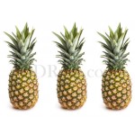 Pineapple medium size