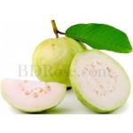 1 kg Guava 