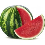 Watermelon medium 